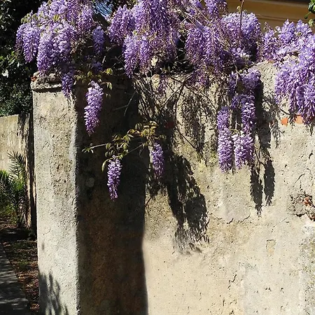 Appartement Alloro 2 - Renovated Two-room Marciana Marina (Isola d'Elba)