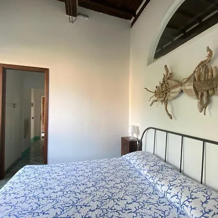 Alloro 2 - Renovated Two-room 公寓 马西亚娜马里纳