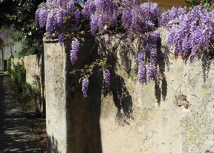 Appartement Alloro 2 - Renovated Two-room Marciana Marina (Isola d'Elba)
